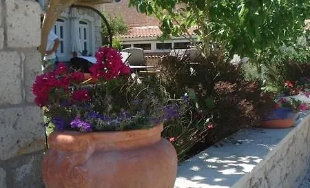 ホテル Otello アラカティ